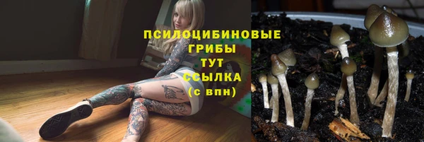 MDMA Premium VHQ Вязьма