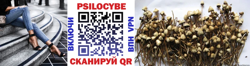 Галлюциногенные грибы Psilocybe  где продают   Оханск 